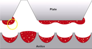 Ink-Dipping-Anilox.jpg