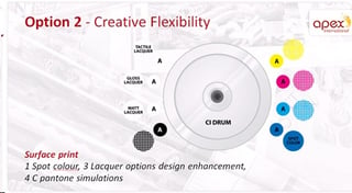 Creative Flexibility-Option 2(Apex).jpg