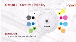 Creative Flexibility-Option 3(Apex).jpg