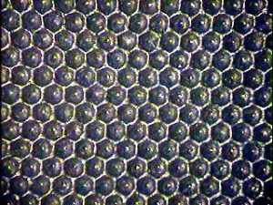 anilox cells2