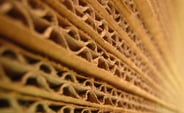 cardboard